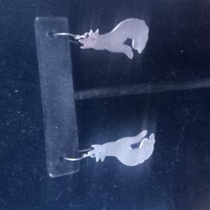 Coyoto Earrings silver